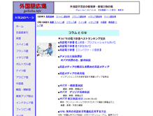 Tablet Screenshot of gaikoku.info